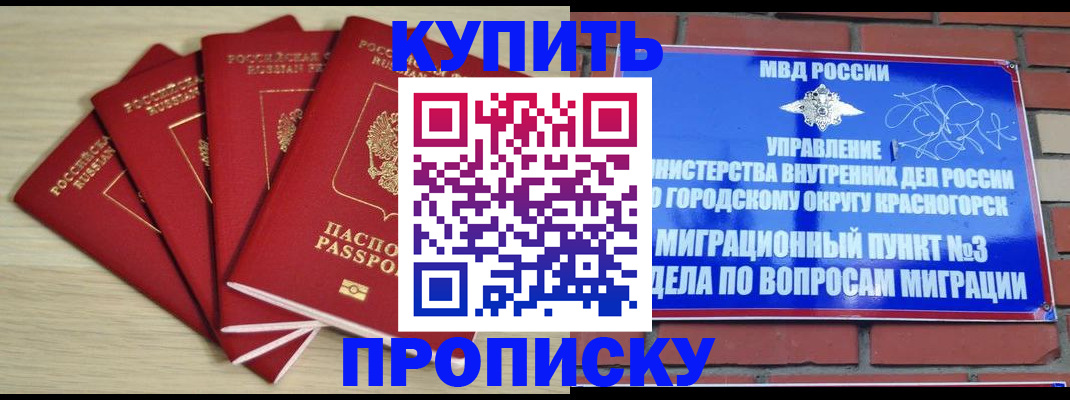 временная регистрация для всех в Заполярном